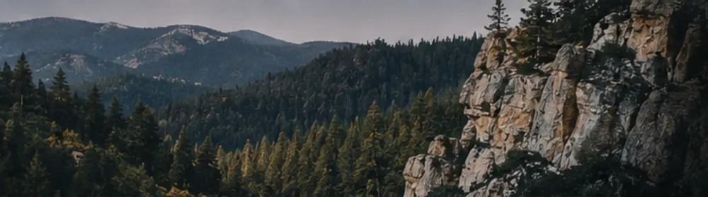 A forested Sierra ridge under a hazy sky, pines and granite in the foreground